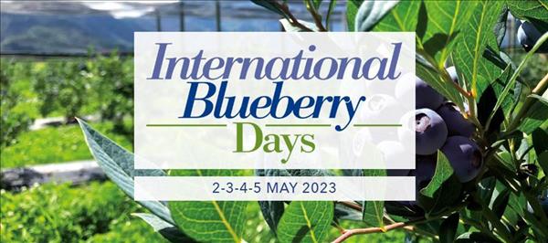 Tutto il mondo del mirtillo si ritrova a Macfrut:  International Blueberry Days  Rai media partner della fiera presente con uno stand